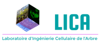 Logo-LICA
